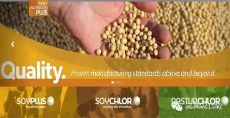 美国农产品滞销下谷物合作社应对策略与销售创新